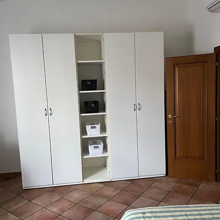 Vellutini Iii *